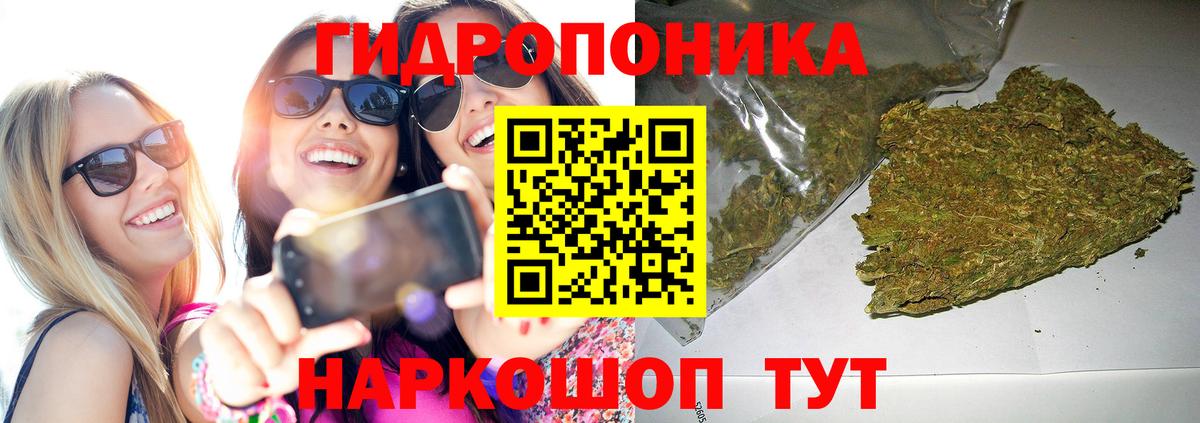 Марихуана план Когалым